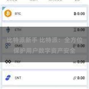 比特派新手 比特派：全方位保护用户数字资产安全