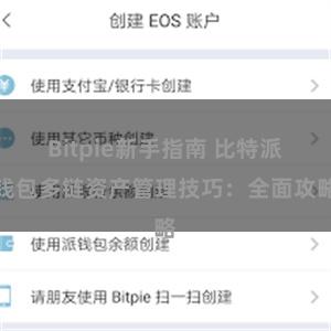 Bitpie新手指南 比特派钱包多链资产管理技巧：全面攻略