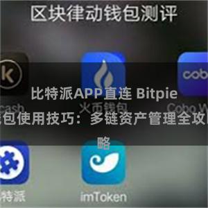 比特派APP直连 Bitpie钱包使用技巧：多链资产管理全攻略