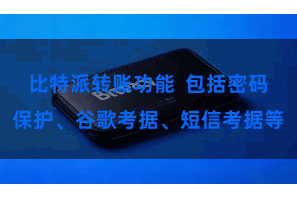 比特派转账功能  包括密码保护、谷歌考据、短信考据等