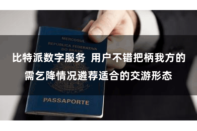 比特派数字服务  用户不错把柄我方的需乞降情况遴荐适合的交游形态