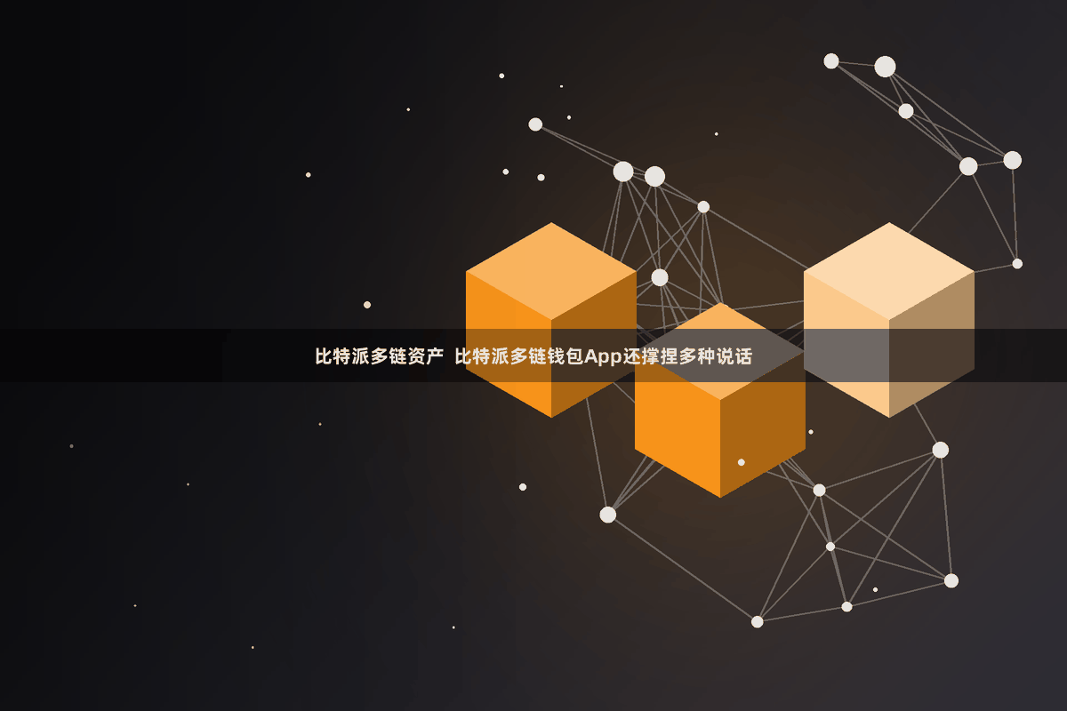 比特派多链资产 比特派多链钱包App还撑捏多种说话